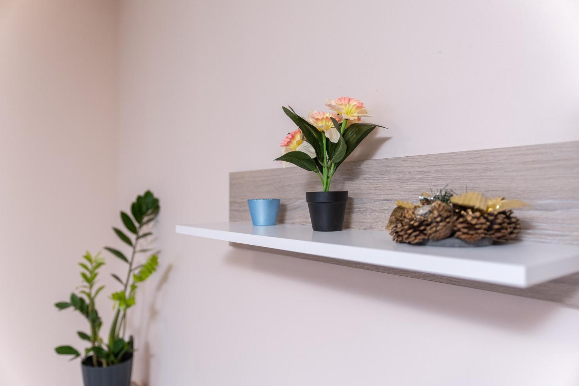 Comfortable 2br Urban Getaway In Center *
